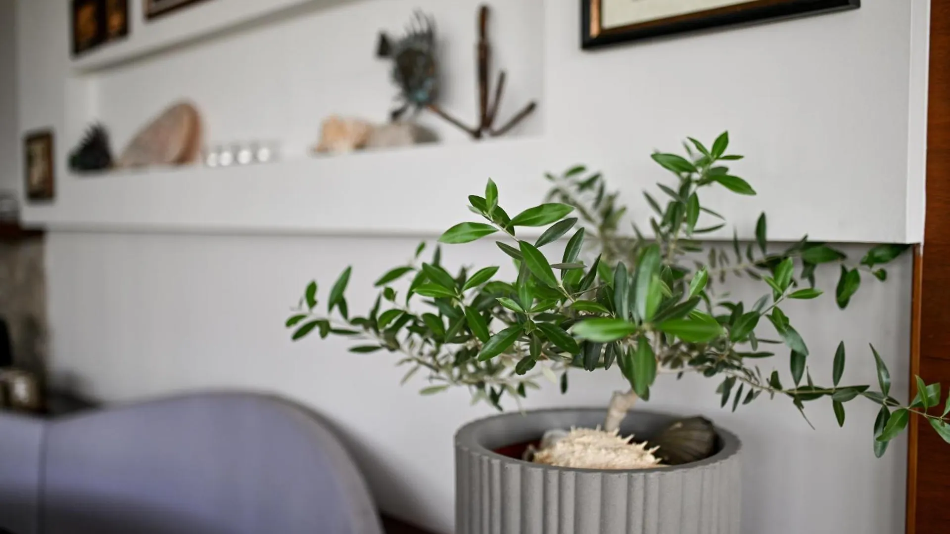 Bed & Breakfast Villa Hresc I Zadar